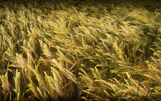 497813 (a): :1920x1200